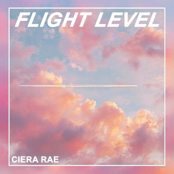 Cover art for Flight Level